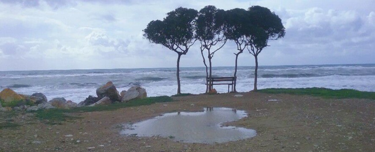 15747462_1176195719162885_6795776902615177457_n