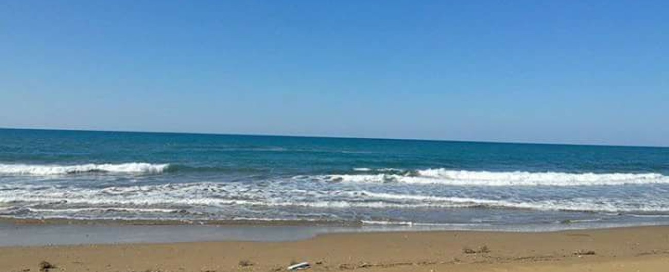 16681471_1223006227815167_674565858014259785_n